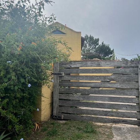 Proa Amarilla Apartment Пунта дел Есте Екстериор снимка